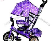           Profi Trike.   !  .   ,  -  