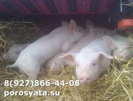 �������� �� ������� �������� ���������. ������ ������� �����+�������. ��� �� 5-6 ��. ( ��������������, ������ ����������, ��� ��������) ��� ��������� , �����-7 (��������-20) - ������ ��������