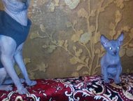 :       ,   , - , , .   , 