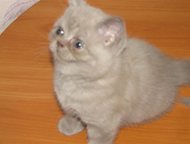 :      ,  