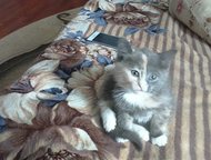      , , 1. 5 .   , . , ,  !   ,  !,  -    