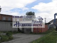 :             .    -83 . , . , . 