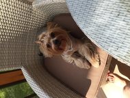   29. 08   ( )   .        .   .  ,  - 