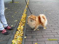 :          2. 5.  , ,  , ,  , 