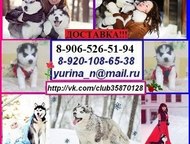        ! 
 , ,    3 !,  -  ,  