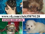             
  9   
   
   ,  -  ,  
