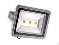  NS-300  LED  NS-300 W    :10000  .    : IP65.    : 220  , - - 