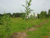 :    20  250      20   ,  , 250       (10