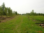 :    20  250      20   ,  , 250       (10