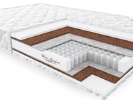  Spring Hard Foam       Spring Hard Foam          ,   -   