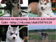      8 .  
 P. S.       ),  -  ,  