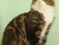  :     -, ,    .  .       -
