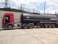  - Ali riza usta 403  -    ,  ,  Ali riza ust,  -  ( )