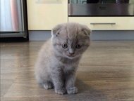 :       , 1. 5      