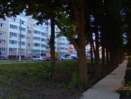 2  , , , -,   2    .    17 . 2 .   ,  -  