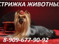          !      !   : 8-968-940-94-94  8-909-677-,  - 