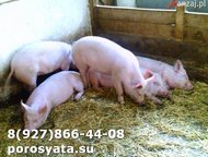 �����-7 (��������-20): �������� �� ������� �������� � ����� ����. ������ ������� �����+�������. ��� �� 5-6 ��. ( ��������������, ������ ����������, ��� ��������) ��� �������