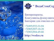        .  BioRemove, , -, Bacti-Bio,  . 
  ,  -    - 