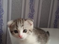   5   . 1, 5,      . , ,    !  ! 
    ,  -  