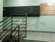 :  ,    2012 .  3   ,  ,  ,      ,   