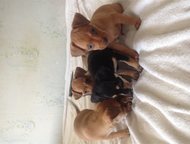        ,   8 ,   ,  -  ,  