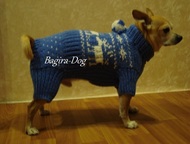 :      Bagira-Dog          .  : , , , 