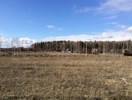 :       11     5     .  .   ,   