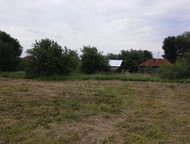 15    , ,         ,  ,   55.  15  ,  -   