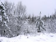 :         ,   12          .   12 