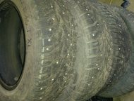 gislaved nord frost 100   195/65R15   ,     1 , 4 ., - -  