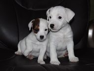 ����� ���� ������ ���������� ����� ���� �������, �������, ��������� ���., �����-7 (��������-20) - ������� �����,  ������