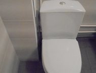 :  1- , ,   , 7            ,   
