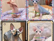 :        AprioriNaked   -  ,    