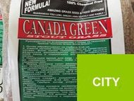 :       canada green premium ()! 
 
    fast start -     = fast st