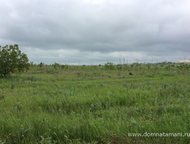 :   .        ,   ׸    .