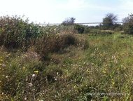 :   .         ,       . 