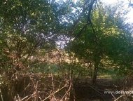 :   .         ,      . 