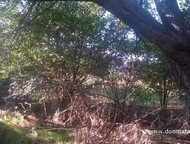 :   .         ,      . 