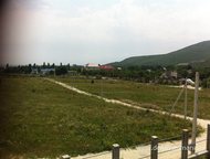 :    .         ,   ׸    