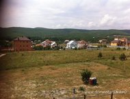    .         ,   ׸    ,  -   