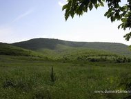   .        ,   ׸  1.4 .     . ,  -   