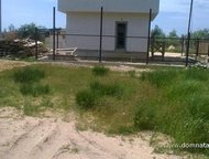 :   .       ,     800 .   . 