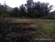 :   .        ,   ׸  5   . 