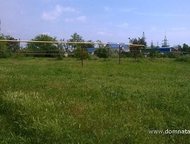   .         ,       . ,  -   