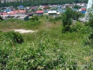   .        ,   ׸  2 .  .   . ,  -   