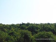 :   .      ,   ׸  2.5 .   . :   .