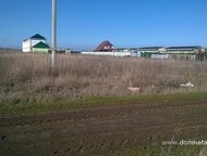 :   .         ,      . 