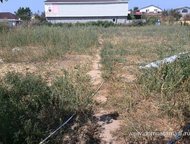   .        ,   ׸    ,  -   