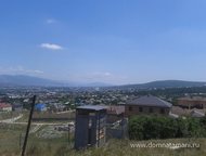 :   .        ,   ׸    . 