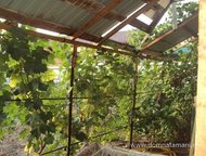 :   .         ,      . 